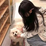 九游狩猎纪元官方下载